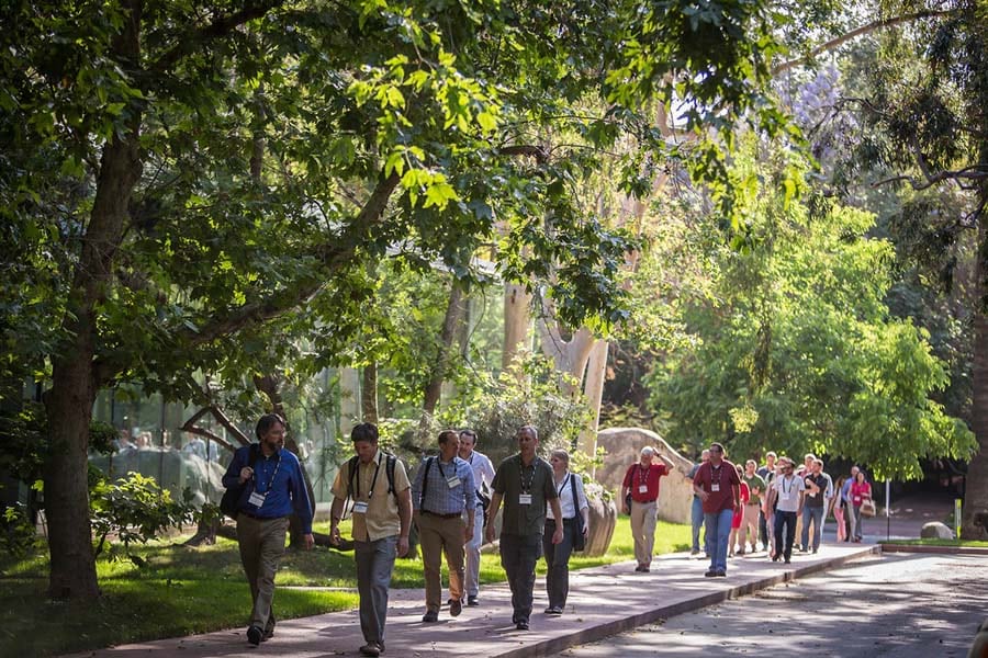 A group of forestry professionals stroll among the trees on the Esri campus in Redlands, California.