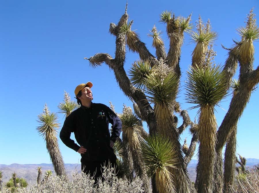 Green Guru Joseph Kerski, who blogs for Green 360, stands in the desert among several Joshua trees. Green Guru Joseph Kerski, who blogs for Green 360, stands in the desert among several Joshua trees.
