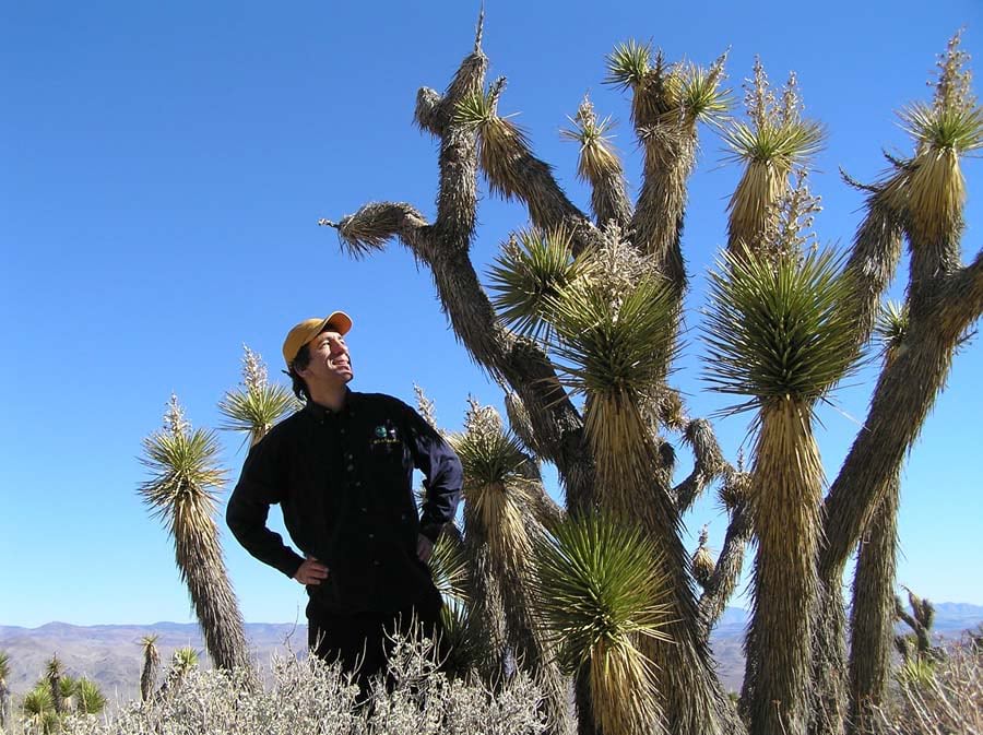 Green Guru Joseph Kerski, who blogs for Green 360, stands in the desert among several Joshua trees.