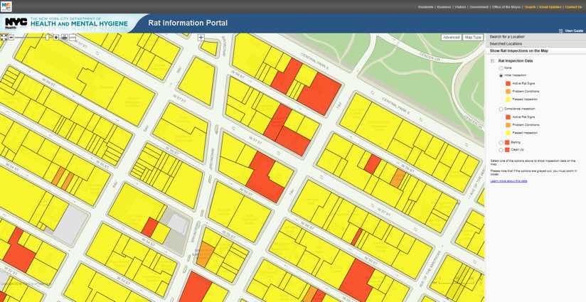 New York City Rat Information Map