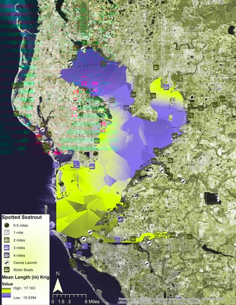 A raster surface showing where fish species are in Tampa Bay, FL A raster surface showing where fish species are in Tampa Bay, FL