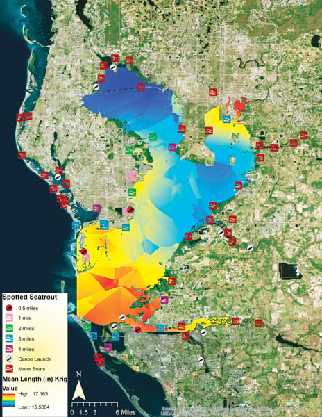 A raster surface showing where fish species are in Tampa Bay, FL