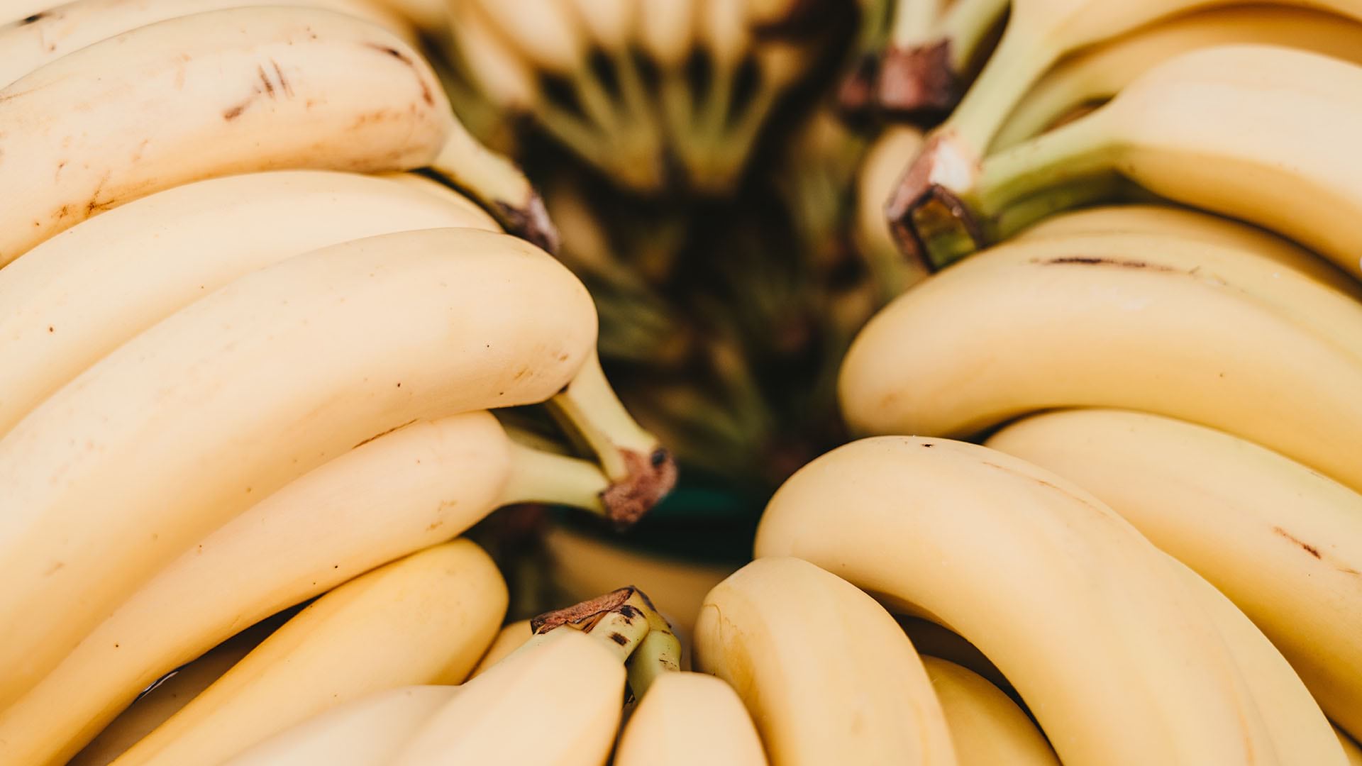 These bananas could become victims of food spoilage in the supply chain