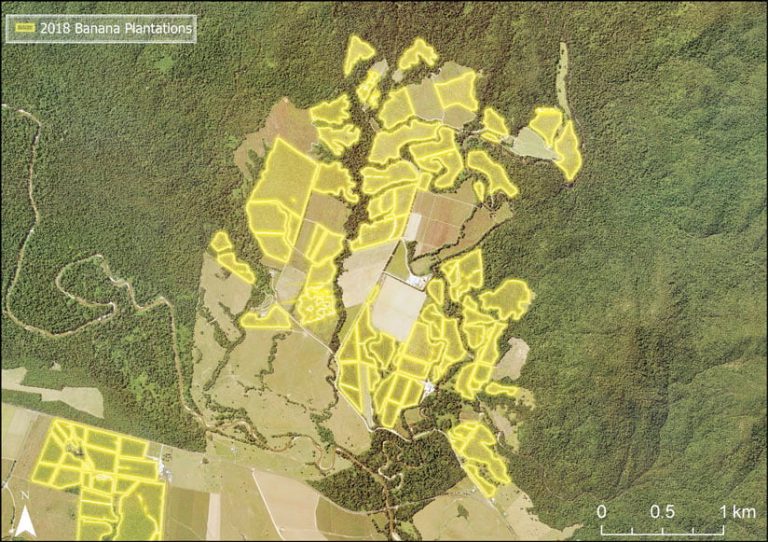 A map of banana plantations in the Johnstone River catchment