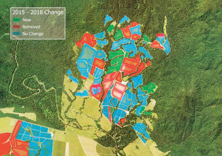 A map of a banana plantation overlaid on imagery, showing with red, green, and blue how land has changed