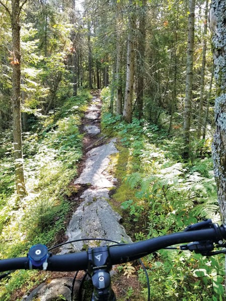 A photo of a difficult forest trail taken from over the handlebars of a bike