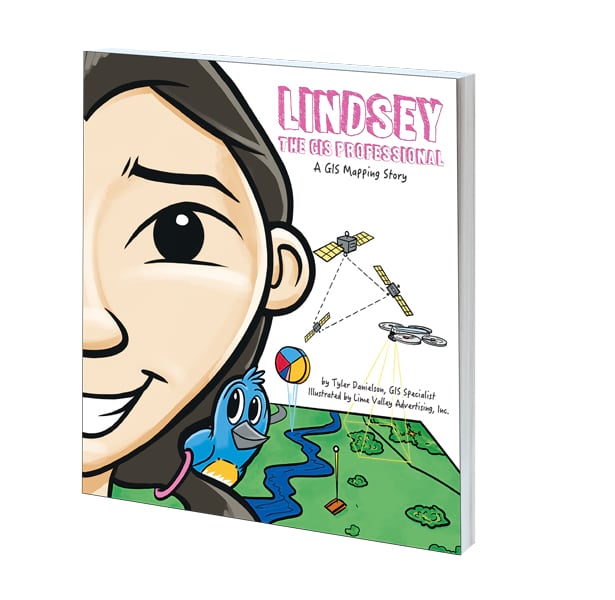 Cover of Lindsey the GIS Professional