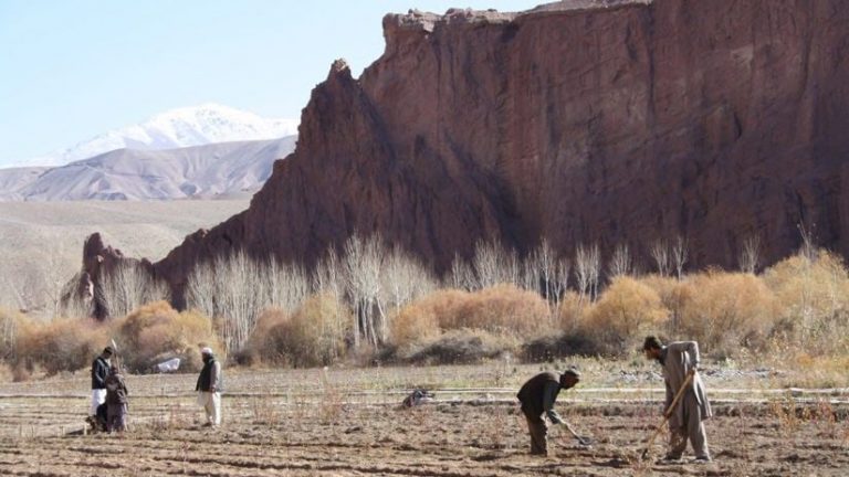 WFP Food for Work plant nursery in Afghanistan