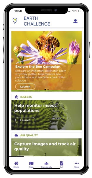 An iPhone 10 screenshot of the Earth Challenge app bee and insect exploration and monitoring section An iPhone 10 screenshot of the Earth Challenge app bee and insect exploration and monitoring section
