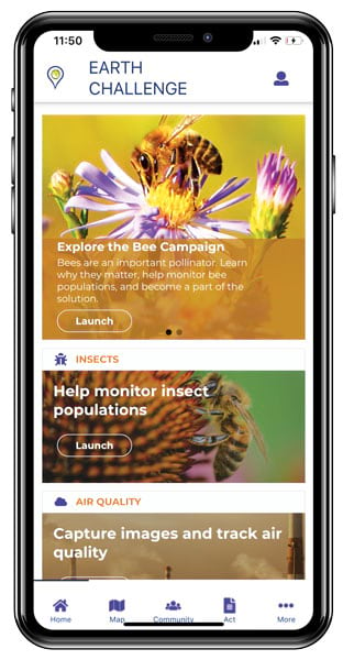 An iPhone 10 screenshot of the Earth Challenge app bee and insect exploration and monitoring section