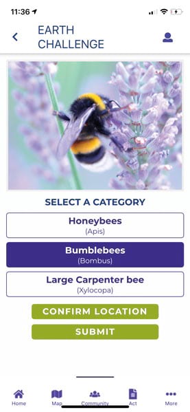 Screenshot of an Earth challenge “select a category” screen Screenshot of an Earth challenge “select a category” screen