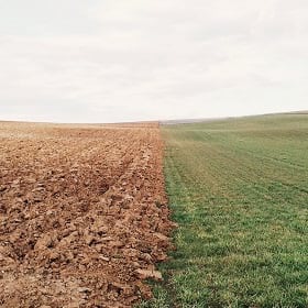 Soil health is key to Indigo Ag's plans for climate resilience Soil health is key to Indigo Ag's plans for climate resilience