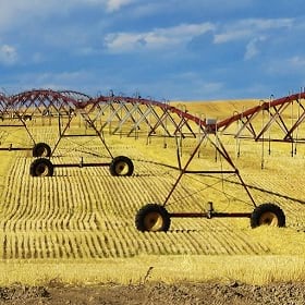 Indigo Ag aims to improve the resilience of farms like this Indigo Ag aims to improve the resilience of farms like this