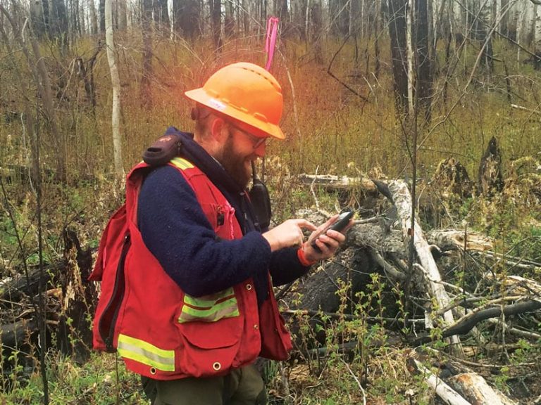 A fieldworker using a phone with ArcGIS Collector to collect real-time data in the field A fieldworker using a phone with ArcGIS Collector to collect real-time data in the field