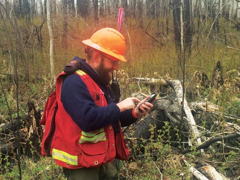 A fieldworker using a phone with ArcGIS Collector to collect real-time data in the field