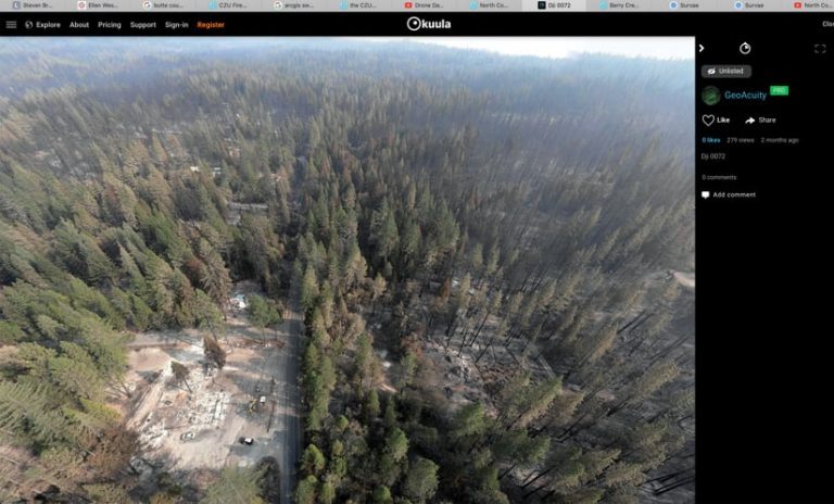 Panoramic view of a forest burn area Panoramic view of a forest burn area