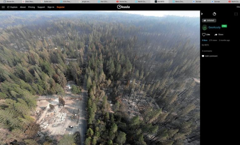 Panoramic view of a forest burn area