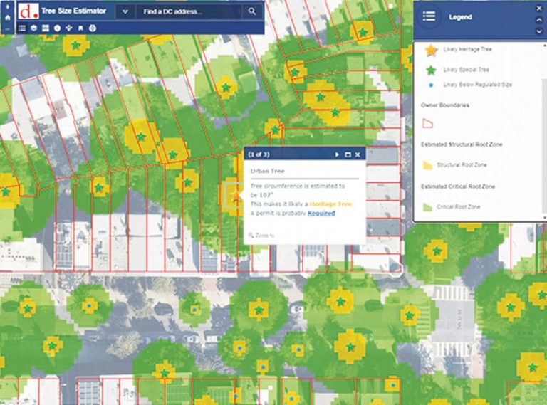 A map of trees lining streets