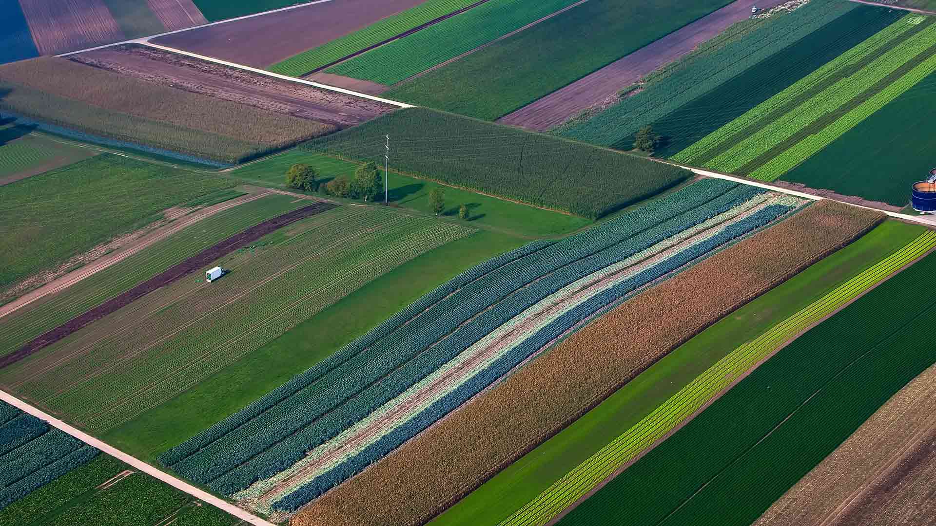 The hidden cost of food represented by a field of crops