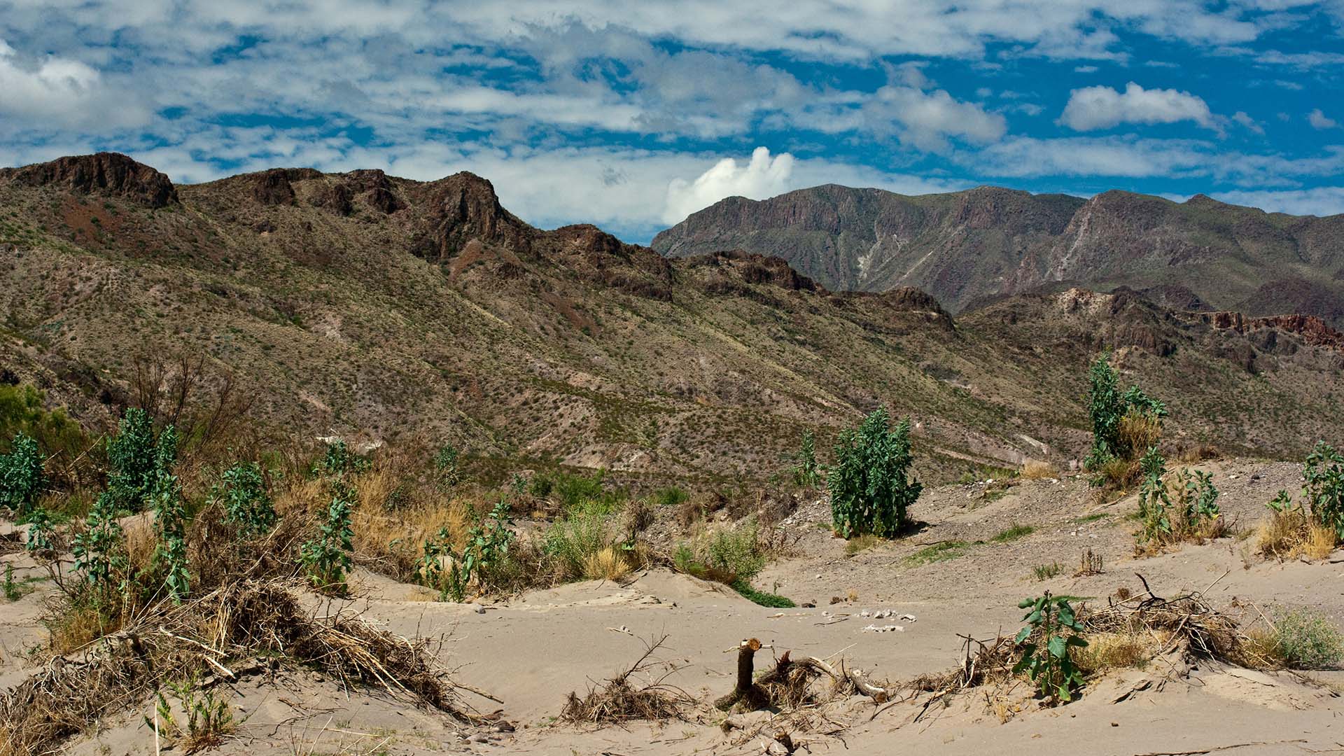 10 самых больших пустынь в мире