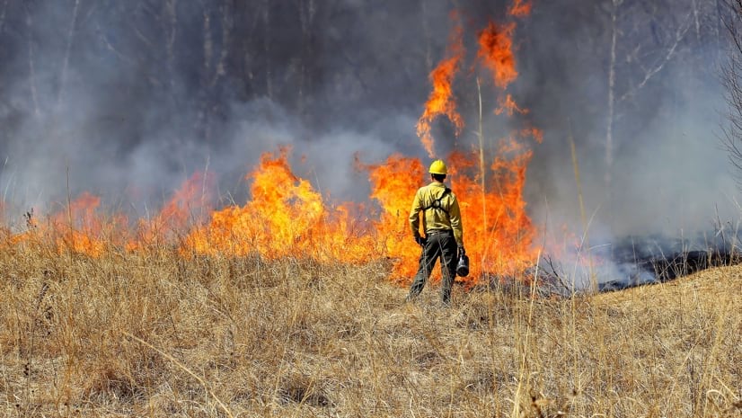 Why Climate Change Makes It Harder to Fight Fire With Fire - The