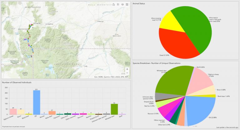 US-191 wildlife and transportation dashboard