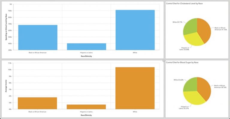 Two bar graphs and two pie charts showing health disparities by race