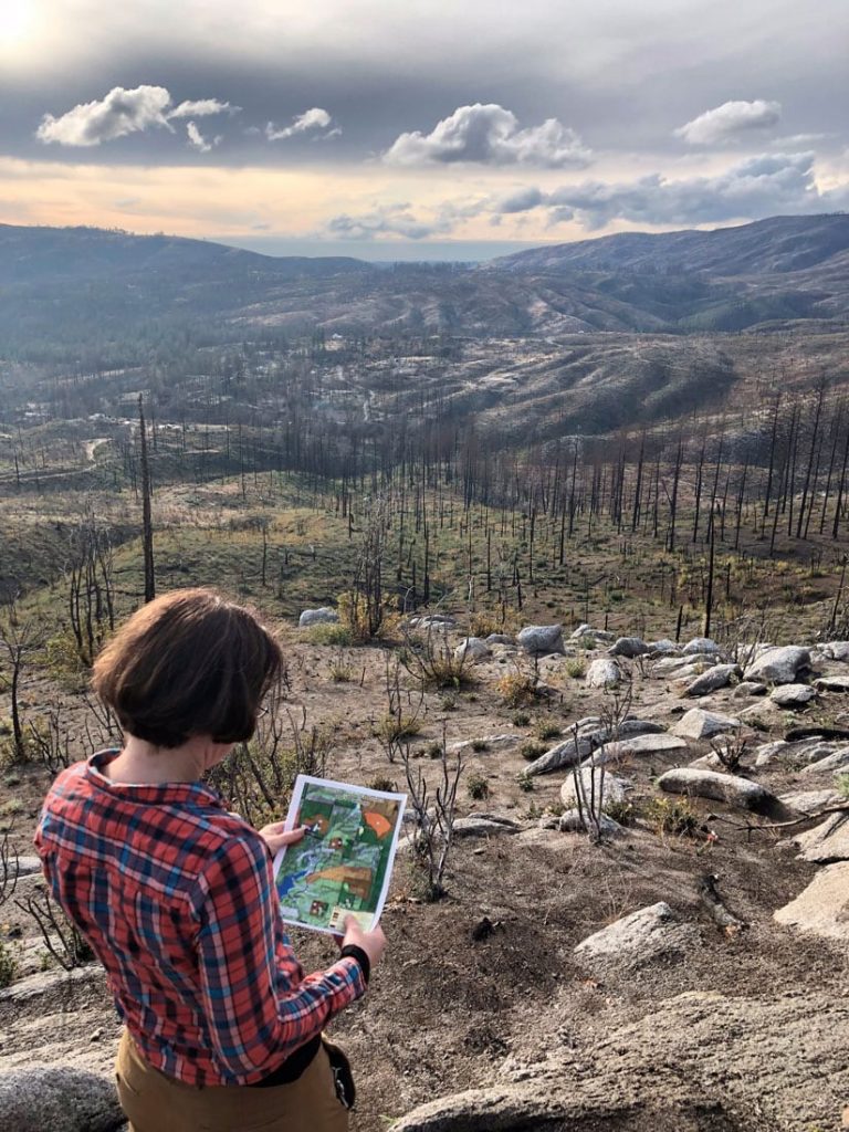 Plan de restauración para un bosque resiliente al clima