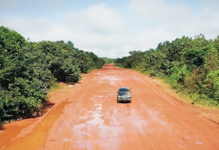 A truck driving down a wide dirt road surrounded by lush trees