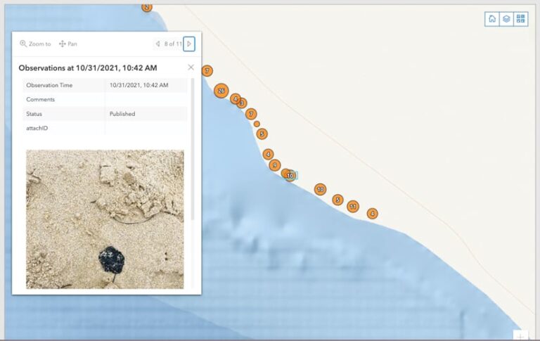 A map of a coastline with orange dots on it indicating where tar balls have been found, plus a pop-up with a photo of a tar ball and information about it
