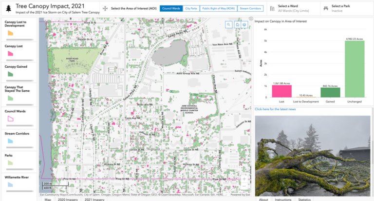 Online GIS map of Salem with viewable divisions; pink represents council wards, blue stream corridors, and light green parks