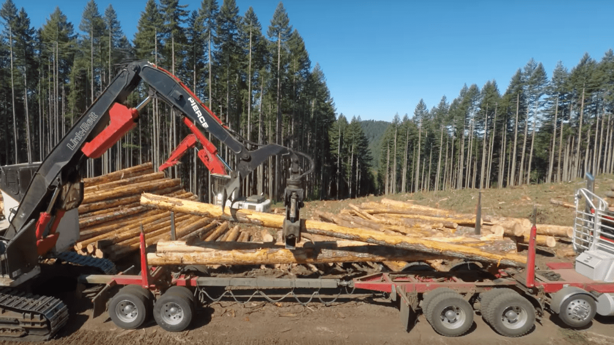 loading logs