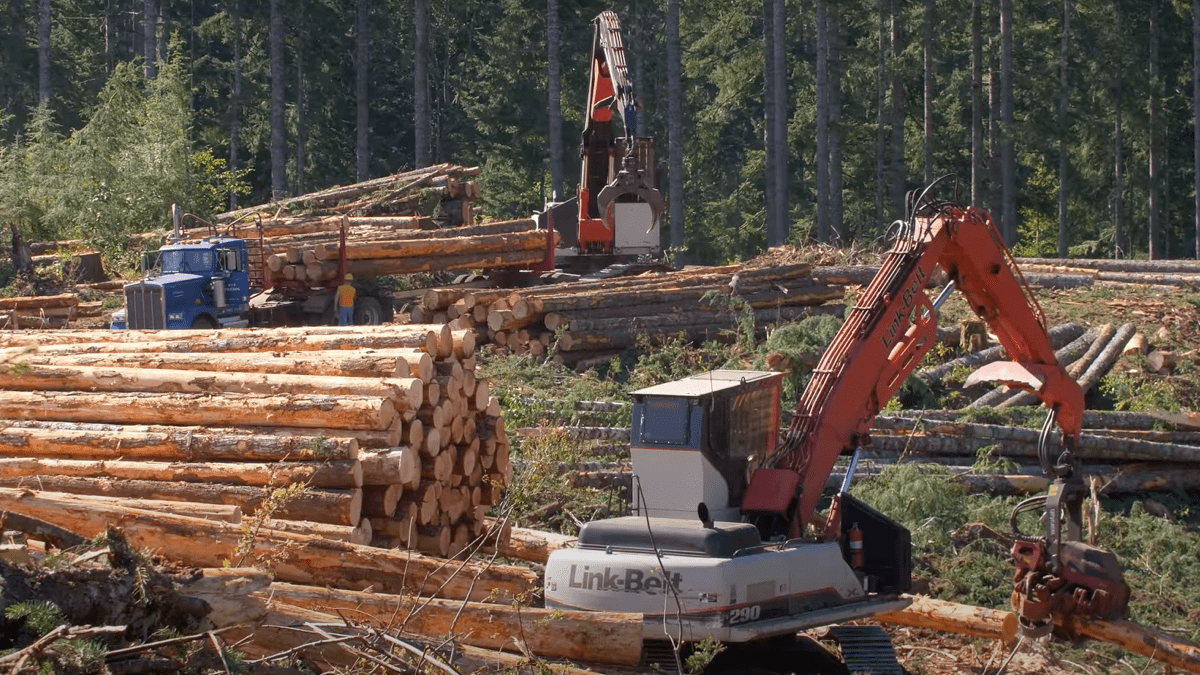 stacking logs