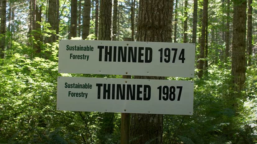 Signs showing when forests were last thinned