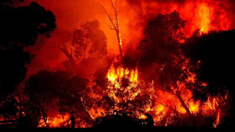 bushfire in australia