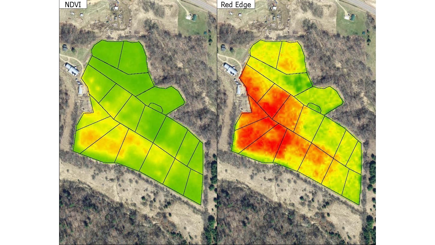 NDVI and Red Edge map