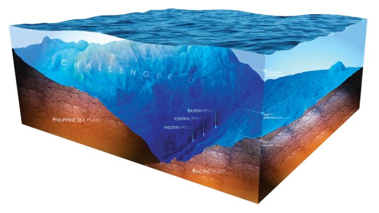 A cross section map of Challenger Deep that shows two tectonic plates and labels the Western Pool, Central Pool, and Eastern Pool at the bottom of the ocean