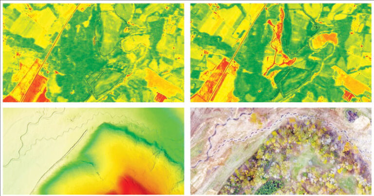 Four squares, with the top two showing differences in land cover from a high altitude and the bottom two showing differences in a tree line at a more detailed level