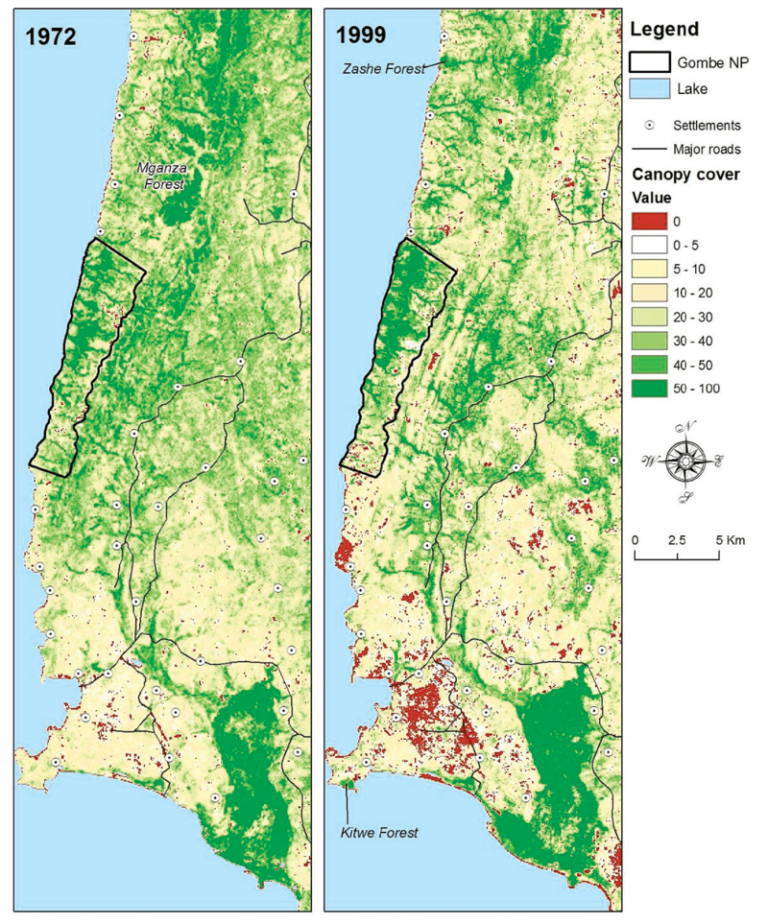 Maps of chimpanzee habitat loss outside Gombe National Park