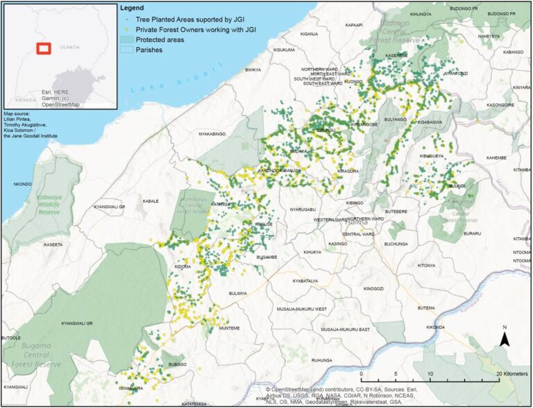 tree planted areas map