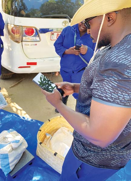 A group of people using smartphones to record data about crop samples