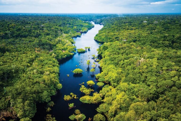 An aerial view of a river winding through dense forest