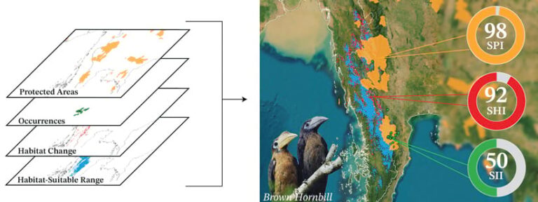 Data layers labeled Protected Areas, Occurrences, Habitat Change, and Habitat-Suitable Range next to an image of two brown hornbill birds and a map of their habitat with conservation areas highlighted in orange, areas where the species has lost connectivity to parts of its habitat highlighted in red, and areas where monitoring efforts of the species need to be improved highlighted in green