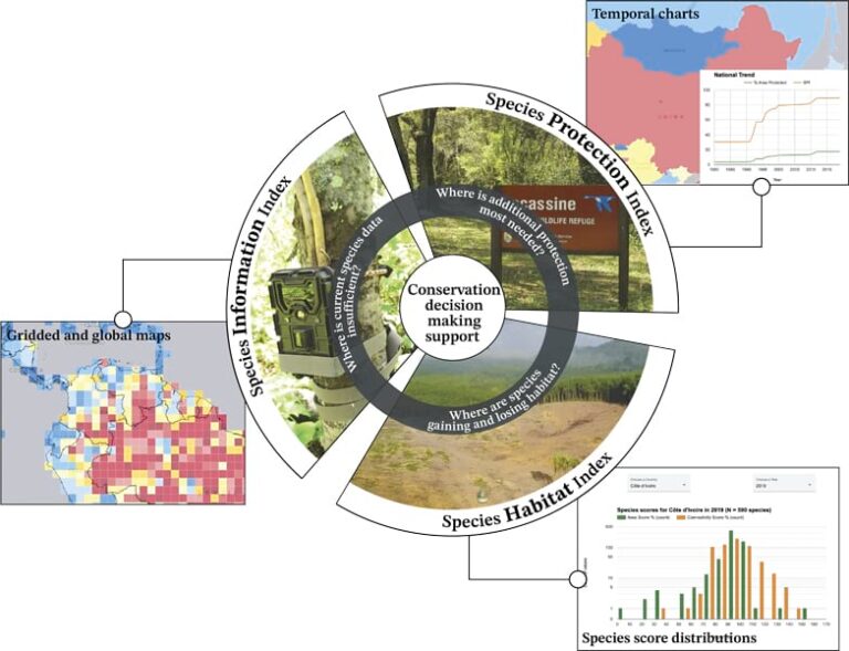 A graphic depicting three images of outdoor spaces in a circle labeled Species Habitat Index, Species Protection Index, and Species Information Index, plus a national trend temporal chart, a bar graph showing species score distributions, and a red-, blue-, and yellow-colored grid map of Central America and northern South America