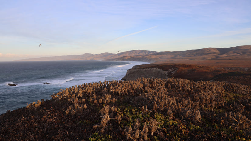 Early December Morning, photo by Kelly Easterday