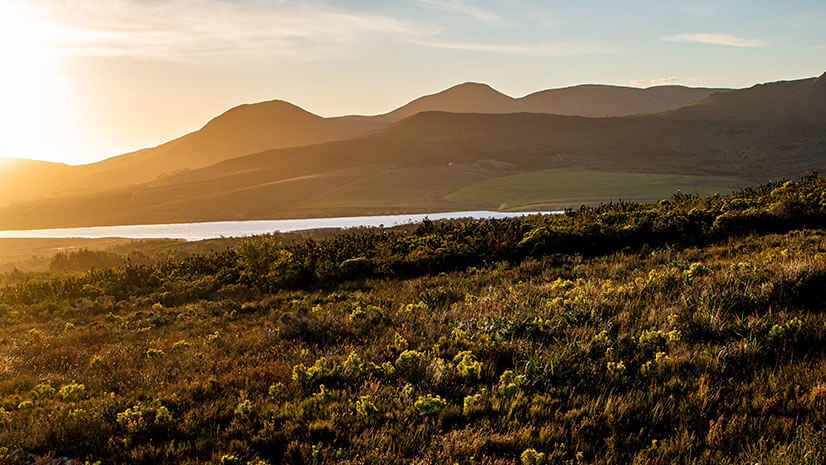 Biodiversity represented by a grassland hillside, lake, and mountains