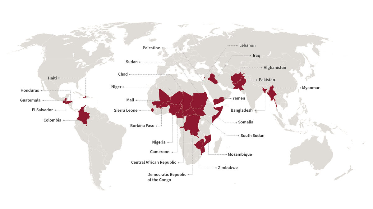 A map of the countries where FAO's DIEM program operates