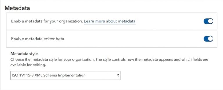 A screenshot of a text box entitled “Metadata.”