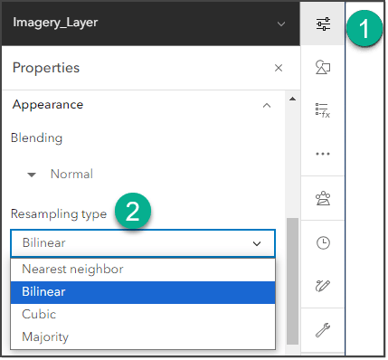 Resample type options