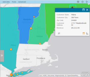 Top-performing states and customers in the north-eastern sales region